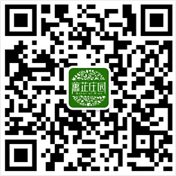 微信商城案例