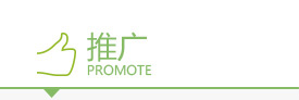 微网站
