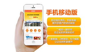 为什么越来越多人不提手机网站建设了