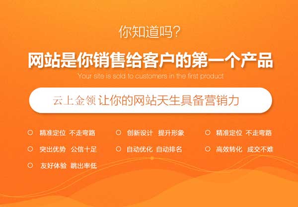 网站建设,成都网站建设,网站建设公司