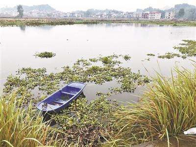网站建设,网站建设公司,成都网站建设